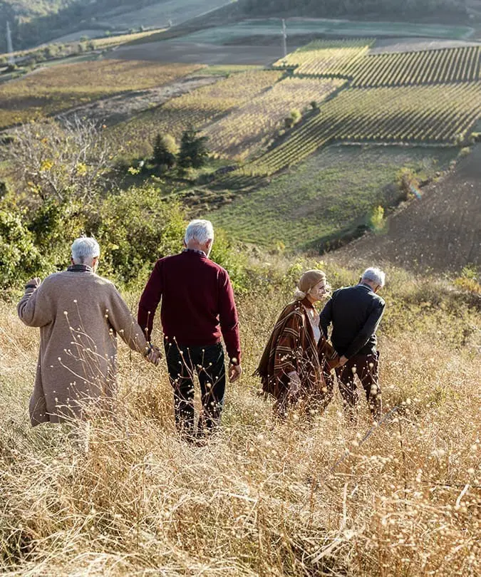 Old people walking in the nature